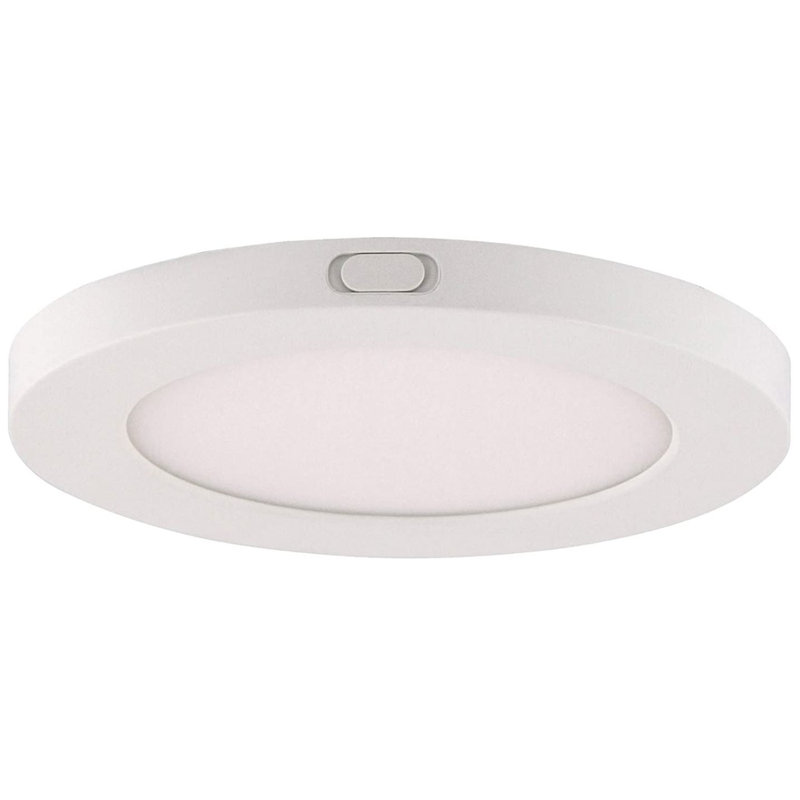 LED Flush Mount