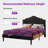 Skya Upholstered Platform Bed-1154884508