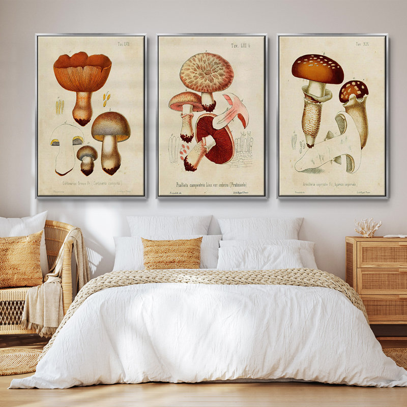 Mushroom Variétés I - ensemble de 3 reproductions sur toile, Argent, H 27 po x l 54 po