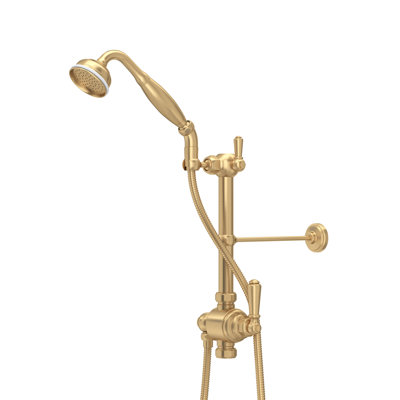 Edwardian Riser Diverter, Handshower, Handshower Holder, Hose and 8" Thermostatic Outlet