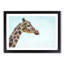Giraffe Profile - Picture Frame Graphic Art Print-56713538-56713543