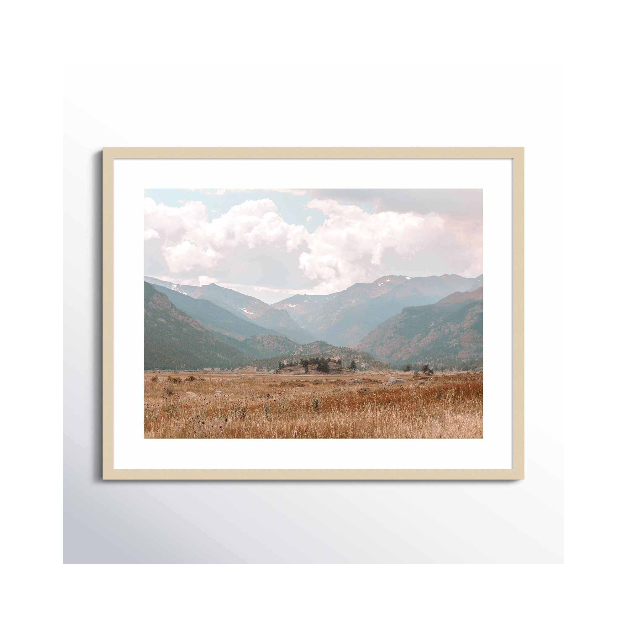Wanderings by Alicia Abla, 26" H x 33" W x 1" D, Brown