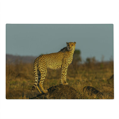 Ambesonne Savannah Cutting Board Large Size Wild Cheetah Blurry Back Apricot Ginger and Dust