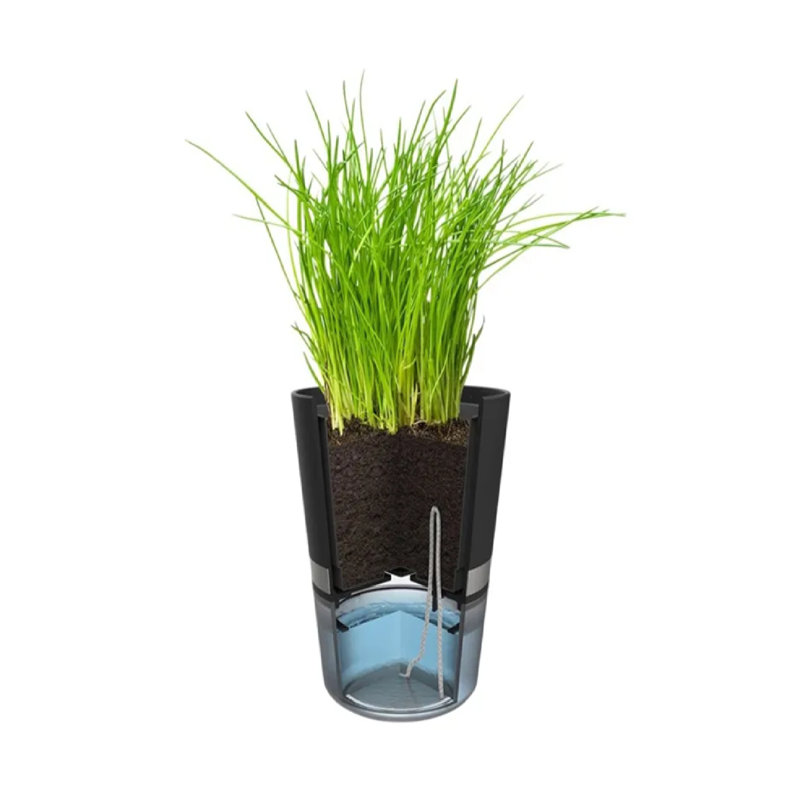 Gefu Growing Kit