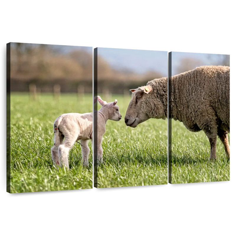 Brampt Sheep Love, 42" H x 65" W