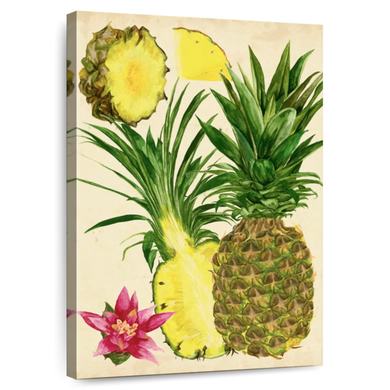 Étude d'ananas tropicaux Yarlin I, H 36 po x l 24 po