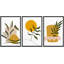 «Mid Century Shape Abstract Shapes Botanical Plant», 3 pièces, cadre flottant, impression sur toile-79731331-79731332