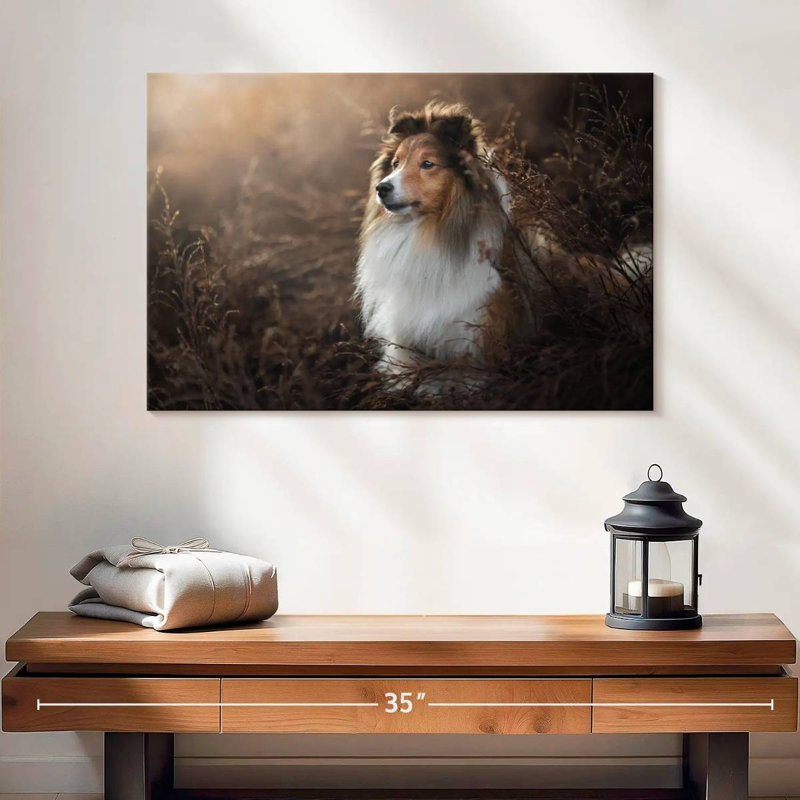 Bramelt, magnifique sheltie, H 16 po x l 24 po