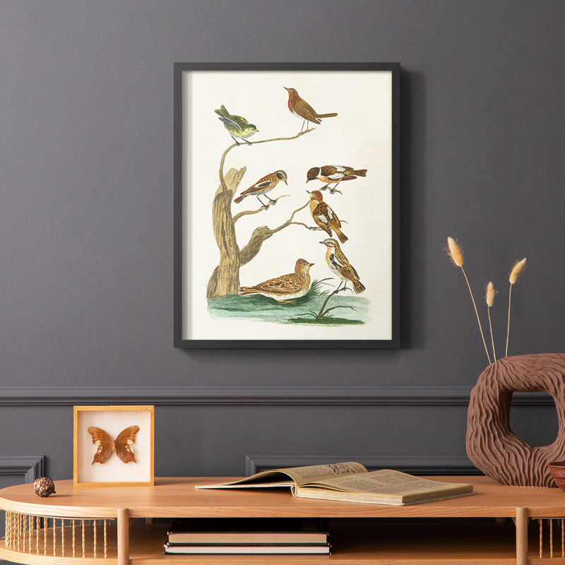 «Antique Birds in Nature III», reproduction encadrée - bois massif, Noir, H 14 po x l 11 po