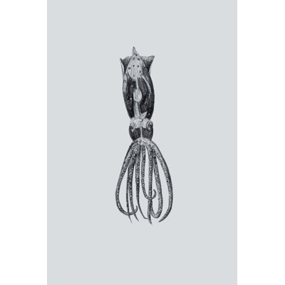 Marine Life III 1 Piece Wrapped Canvas Wall Art