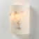Virtouso Glass Flush Mounted Sconce