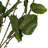 50'' Faux Hop Branch
