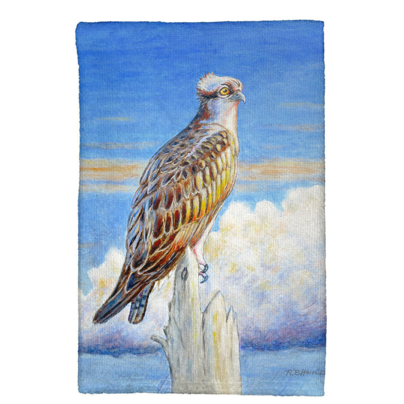 Dish Cloth Kitchen Towel