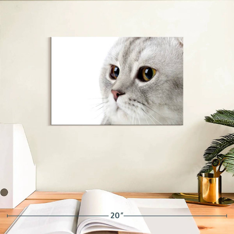 Crowle Fluffy Gray Cat, 8" H x 12" W