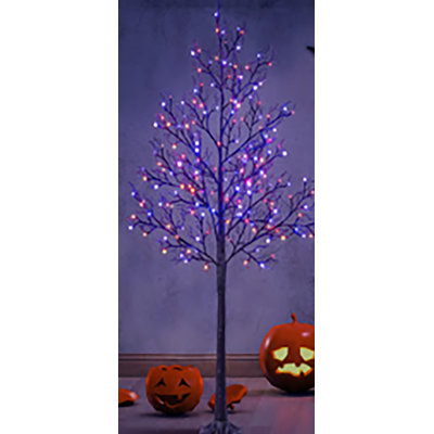 Lighted Tree