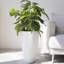 Pot à fleurs rond avec plateau Nova l 12 po-777671179-671843974-777671177