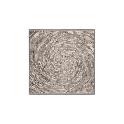 Tapis gris soyeux et moelleux