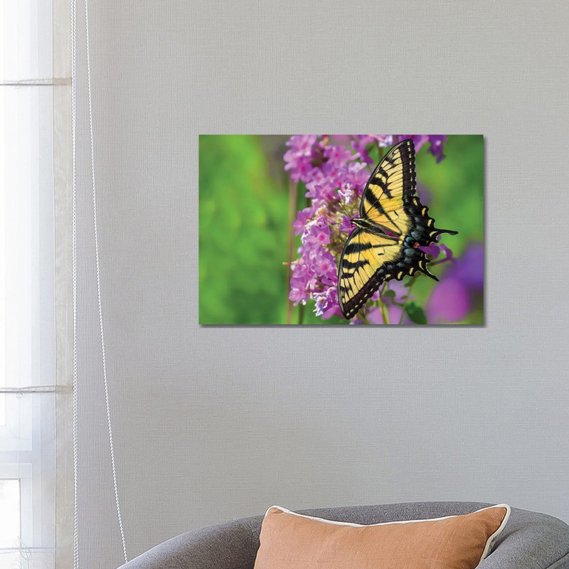 Splash Of Color by David Gardiner - Wrapped Canvas Print, 18"H x 26"W