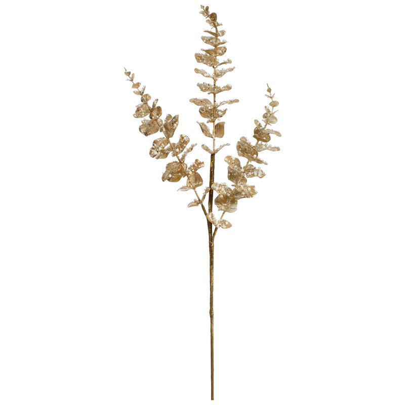 Eucalyptus, ensemble de 12 à 28 pouces