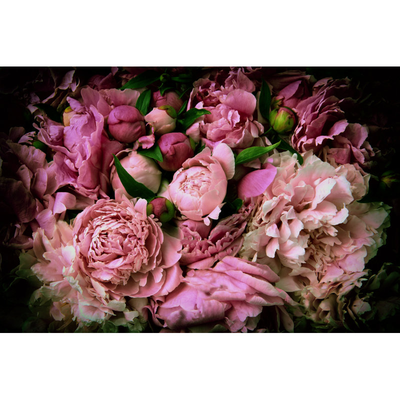 Pivoine - photographie sur toile tendue, H 12 po x l 18 po