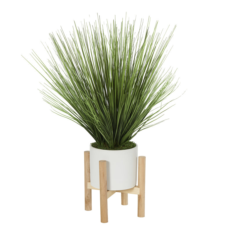 Herbe d'oignon en pot blanc avec support en bois