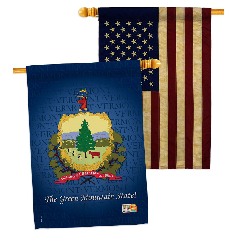 Double Sided 40'' H x 28'' W Polyester House Flag