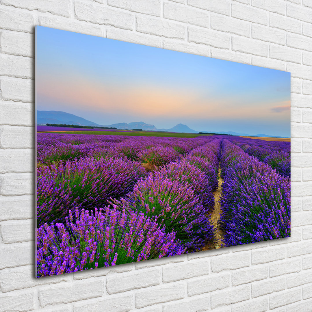 Glasbild Lavender Field