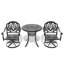 Ensemble de salle à manger 3 pièces en aluminium coulé toutes saisons comprenant 2 chaises pivotantes et une table ronde de 30,71 po avec structure noire