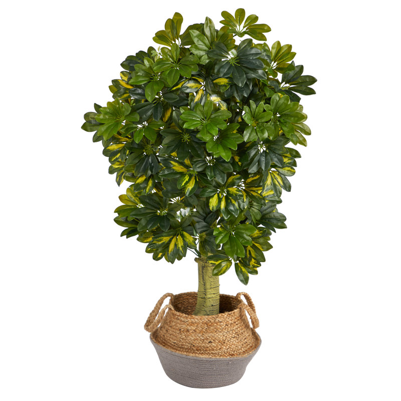 48'' Faux Foliage Tree in Basket, Tan/Mauve