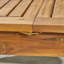 Table de salle à manger d'extérieur extensible en bois d'acacia, naturel-1519982417