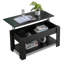 Anngela Industrial Lift Top Coffee Table With Hidden Storage