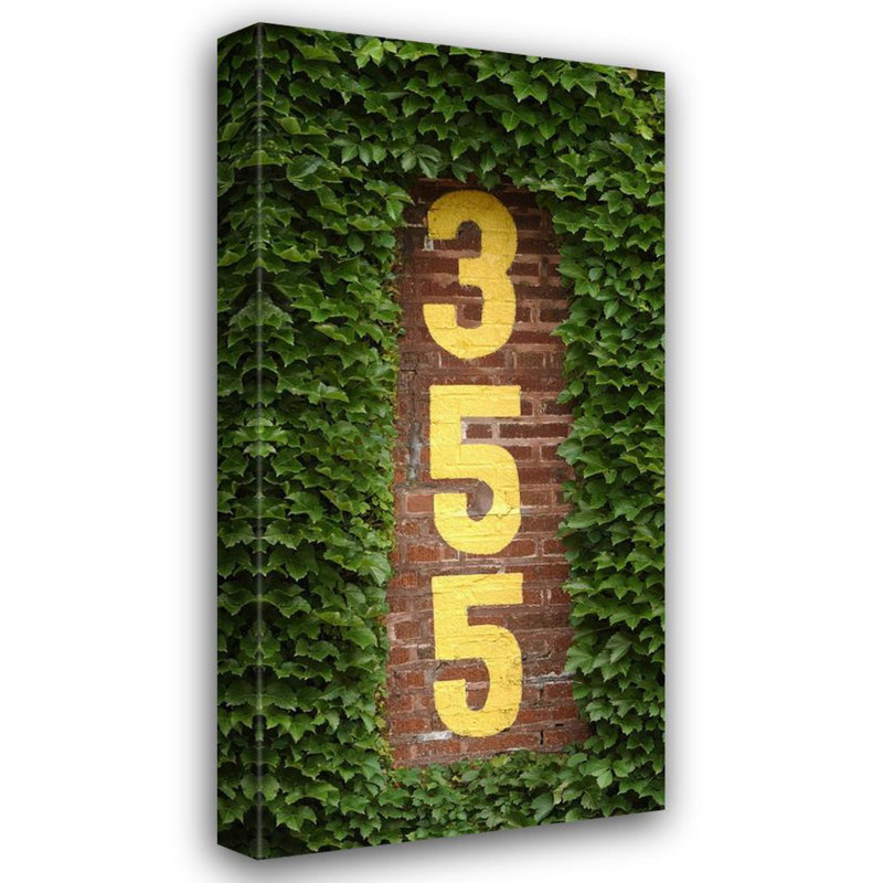 Wrigley Field Ivy 355, H 48 po x l 23 po