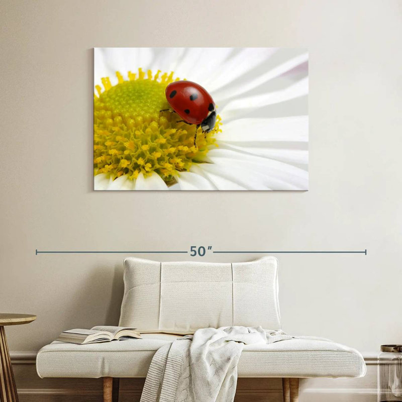 Coccinelle sur camomille, H 26 po x l 39 po