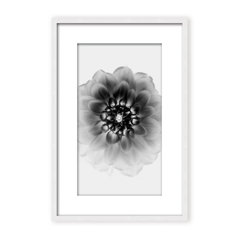 X-Ray Print by Alex Zhao, 24" H x 16" W x 1.125" D, Black, Framed Matted Print