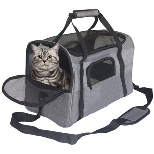 Collapsible Pet Carrier