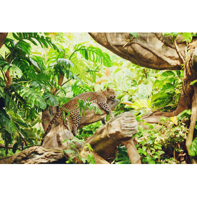 Leopard 1 Piece Wrapped Canvas Wall Art