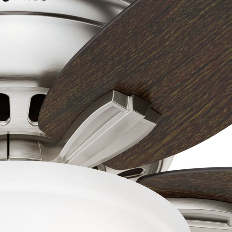 Newsome 42" 5 - Blade Traditional Flush Mount Indoor Ceiling Fan with Lights and Pull Chains, Brushed Nickel