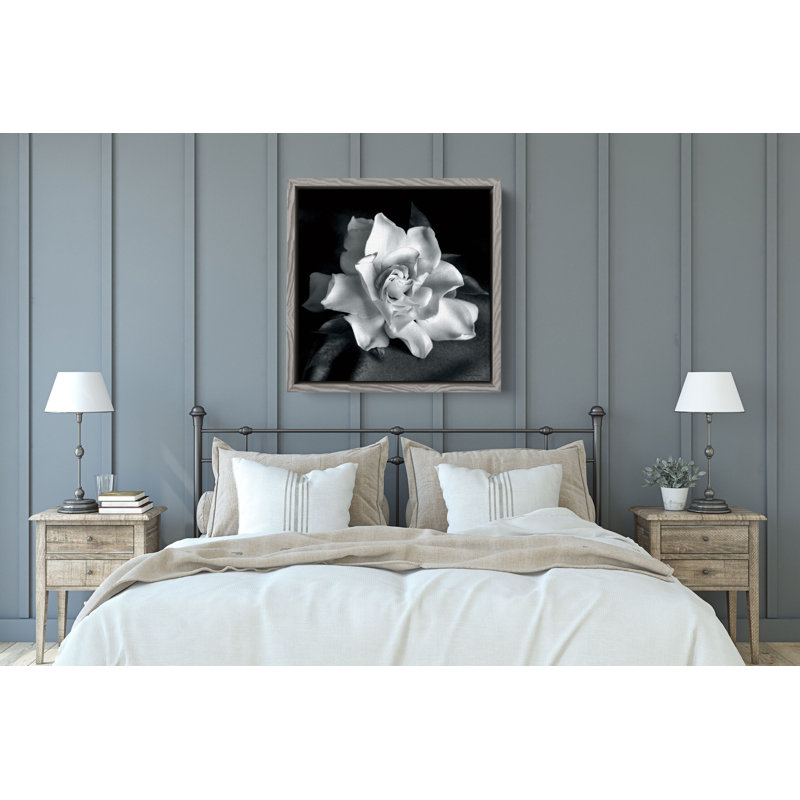 "Gardenia" par Debra VanS vêtementsingen, photographie de fleur sur toile tendue, H 24 po x l 24 po x P 2 po, Gris blanc