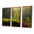 Brown Floater Framed