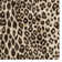 Tapis rayé à motif animal léopard brun, ivoire et rayé moderne Rayna Lennie