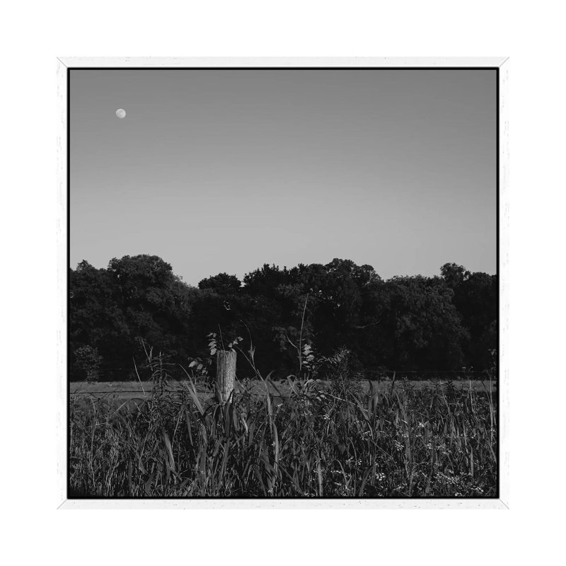 Summer Moon II by Bethany Young - Print on Canvas, White Framed, 93.98cm H x 93.98cm W x 3.81cm D