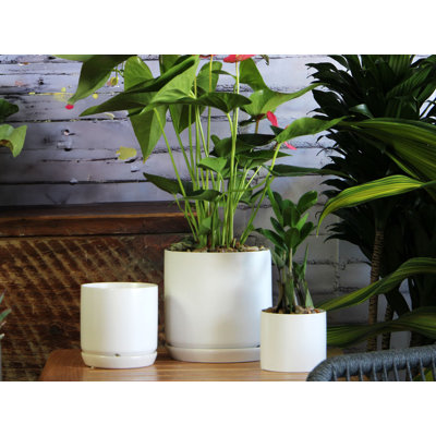 Pot de fleurs d'intérieur en céramique avec drain et soucoupe - pots de fleurs décoratifs modernes pour la maison ou le bureau (blanc mat, P 7,0 po x H 6,5 po - Caisse de 4)
