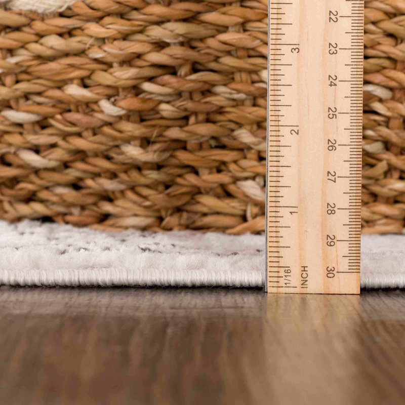 Tapis beige Divyar Southwestern, Rectangle 2 pi x 3 pi