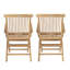 Hayne Teak Outdoor Lounge Chair
