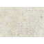 Muted Beige Traditional 7X11 Oriental Area Rug