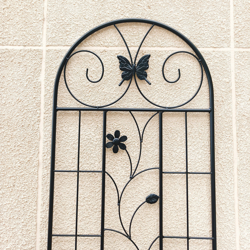 Paquet de 2 treillis de jardin en métal antirouille pour plantes grimpantes, support pour fleurs d'extérieur, noir