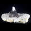 Punk Rock! Quartz fumé avec quartz mohawk - Mooralla, Australie