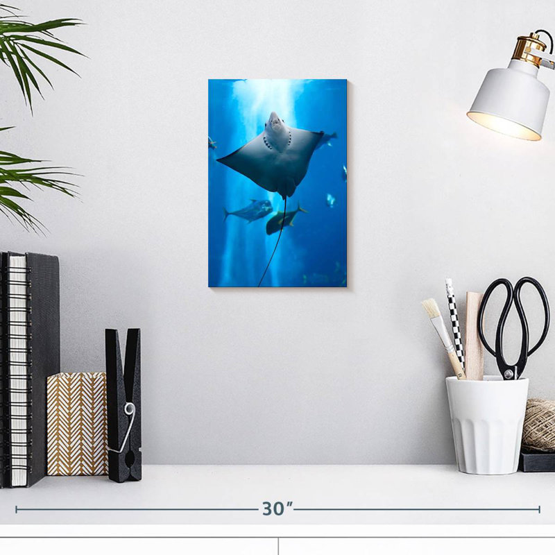Brampt Manta Ray, 12" H x 8" W