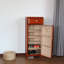 Armoire à chaussures moderne et simple-1732813352
