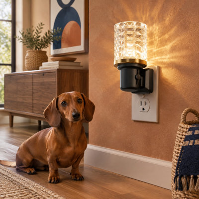Cette veilleuse murale à DEL moderne à brancher combine une détection automatique de l'aube et de la lumière du crépuscule avec une puissance lumineuse réglable de 0 à 100 lm en blanc doux 3000K, ajoutant de la lumière et de la décoration aux salles de bain, couloirs et chambres.